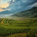 통산1목장 이미지