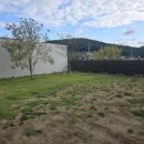 스테이 뭉구 이미지