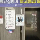 다누네일 이미지
