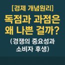 후생시장 | [경제 개념원리] 독점과 과점은 왜 나쁜 걸까? (경쟁의 중요성과 소비자 후생)