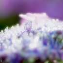 아름다운 동행 이미지