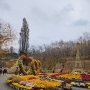 피나클랜드 | 아산 피나클랜드 수목원 방문후기