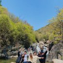 지리산리조트 이미지