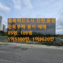 쌍용예가황금공인중개사사무소 | 충북혁신도시 진천,음성 단독주택 토지 매매 (85평, 1억5300만)