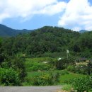 아치실마을 이미지