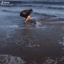 아재밥상 이미지