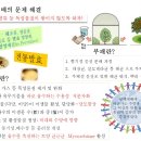 성공 영농을 위한 기초 3 - 염류문제와 해결 방법을 알고 대처하자 이미지
