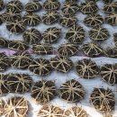 대구인지초등학교 이미지