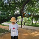 새암공원(3) 이미지