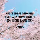 인생을 글로 쓰다 네이버블로그