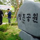 양촌어린이공원 이미지