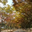 윤*남 - 미추홀구 주승로69번길 15 | 윤*남
