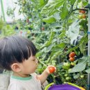 큰사랑어린이집 - 안산시 상록구 | 큰사랑어린이집