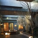 팔레드시즈 이미지