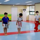 MTA태권도 이미지