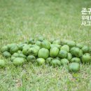 다래1농장 이미지