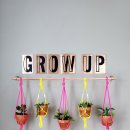 초록초록 가드닝 이미지