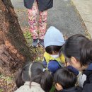 별새꽃돌과학관숙소 이미지