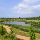 강골농장 이미지