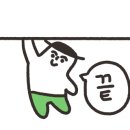 더힐즈뷰티