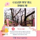 수봉공원 (약수터) 이미지