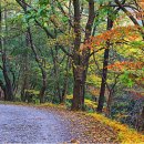 어등대교(거점터미널) 이미지