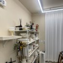 치아공방 | 수원 도자기공방 숨튜디오 취미 원데이클래스 프라이빗 데이트 찐후기