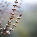 헬씨라이프 이미지