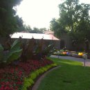 보타니칼 이미지