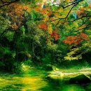 엔젤홈케어 성북지사 이미지