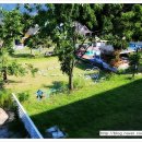 파트라슈 애견 펜션 이미지