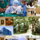 세브란스내과의원 이미지