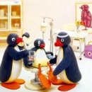 해모스 | 열정樂서 청주대 후기 (열정락서, 강의 후기, 강의 추천, 김지수 )