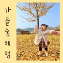 금마어린이집 이미지