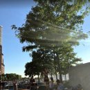 강변쉼터 이미지