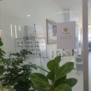 도담소아청소년과 이미지