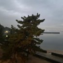 평화공원(외각) | 예쁜 미야지마 섬에서 둘째날 (시사이드 호텔)