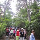 분당-345 이미지