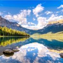 에델바이스 이미지