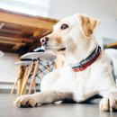 지수동물병원 이미지