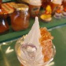 벌꿀모텔 이미지