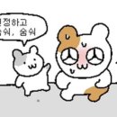 전주스토리