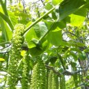 호두미디어 이미지