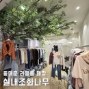 느티나무작은도서관 | 인조나무 설치, 조화느티나무 및 철쭉 디피! 동대문 의류매장 라블룸, 실내장식 후기