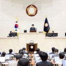 305 데일리안