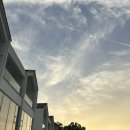 [전남/담양] 그라스 풀빌라 리조트 디럭스C 숙박 후기