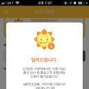 써니여행사