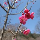 제4회 성지순례-해인사 이미지