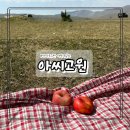 CU 미아창문점 | 카자흐스탄 여행 아씨고원 조인미 아시아 당일 투어(현지 투어 예약 부터 후기까지)
