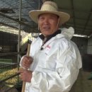 부자목장 이미지